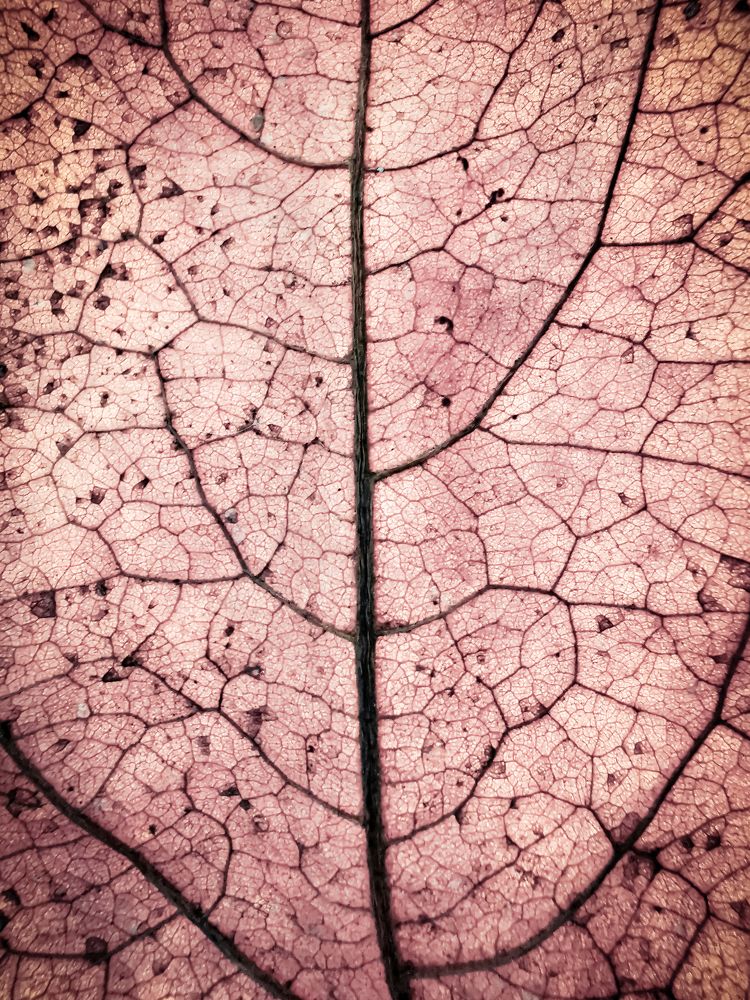 Photograph by Dimitrios Papadopoulos