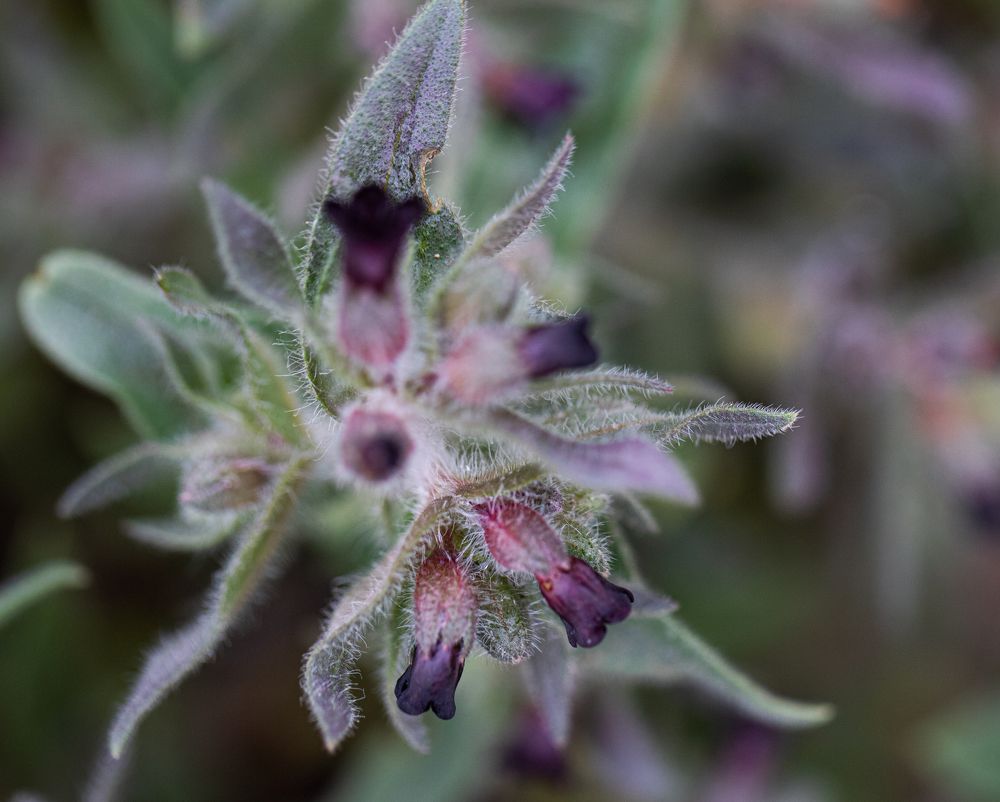 Photograph by Marina Dukhina