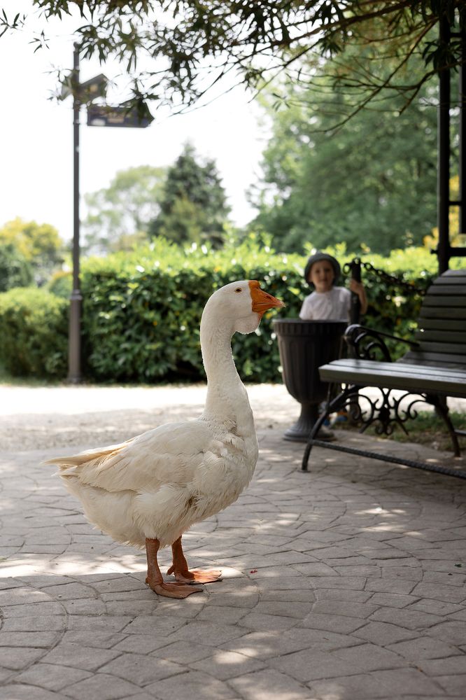 Photograph by Татьяна Бокарева