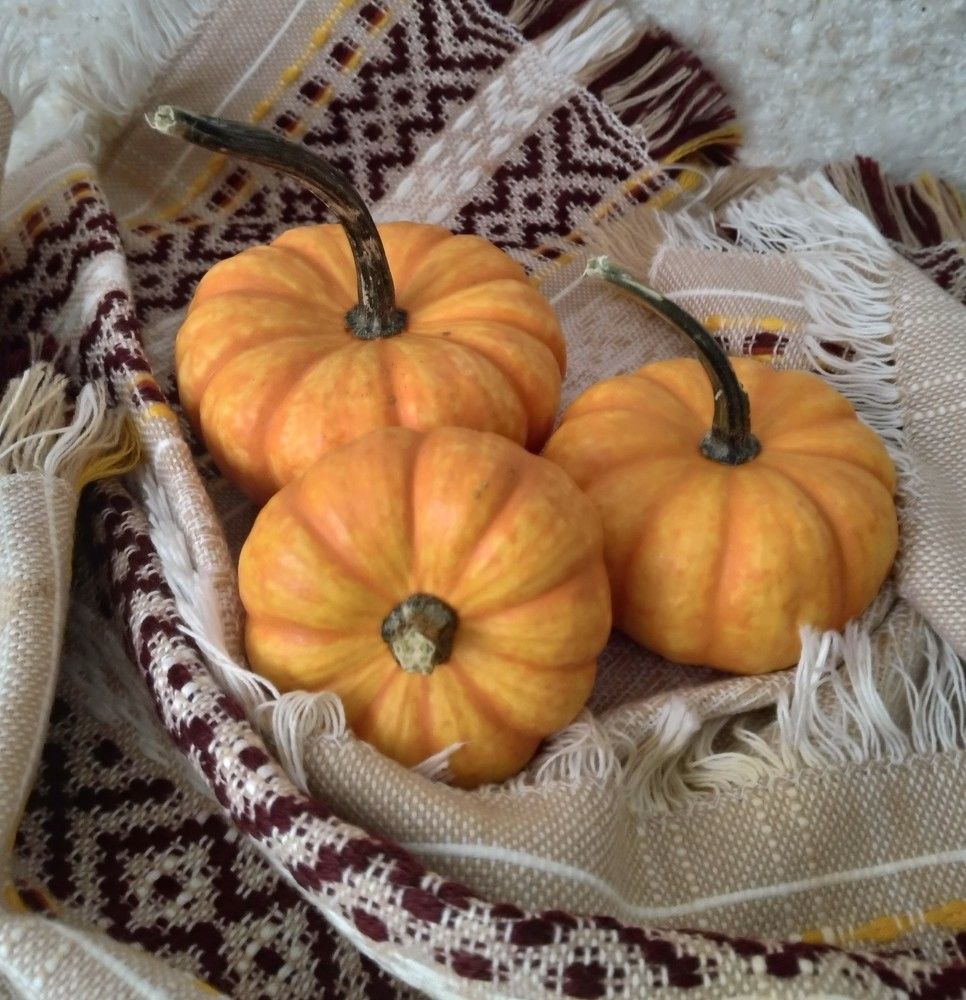 Photo #9763694