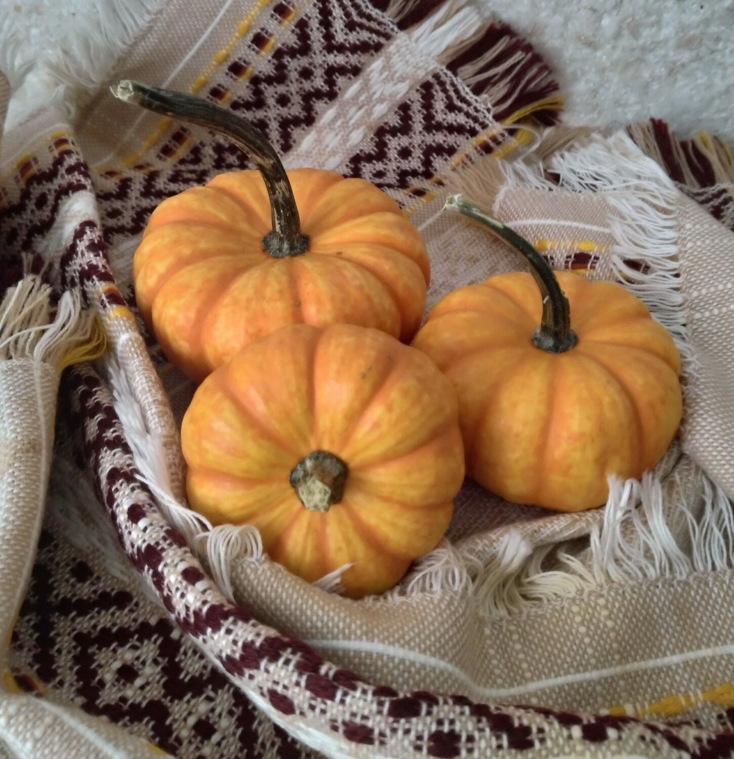 Photo #9763694