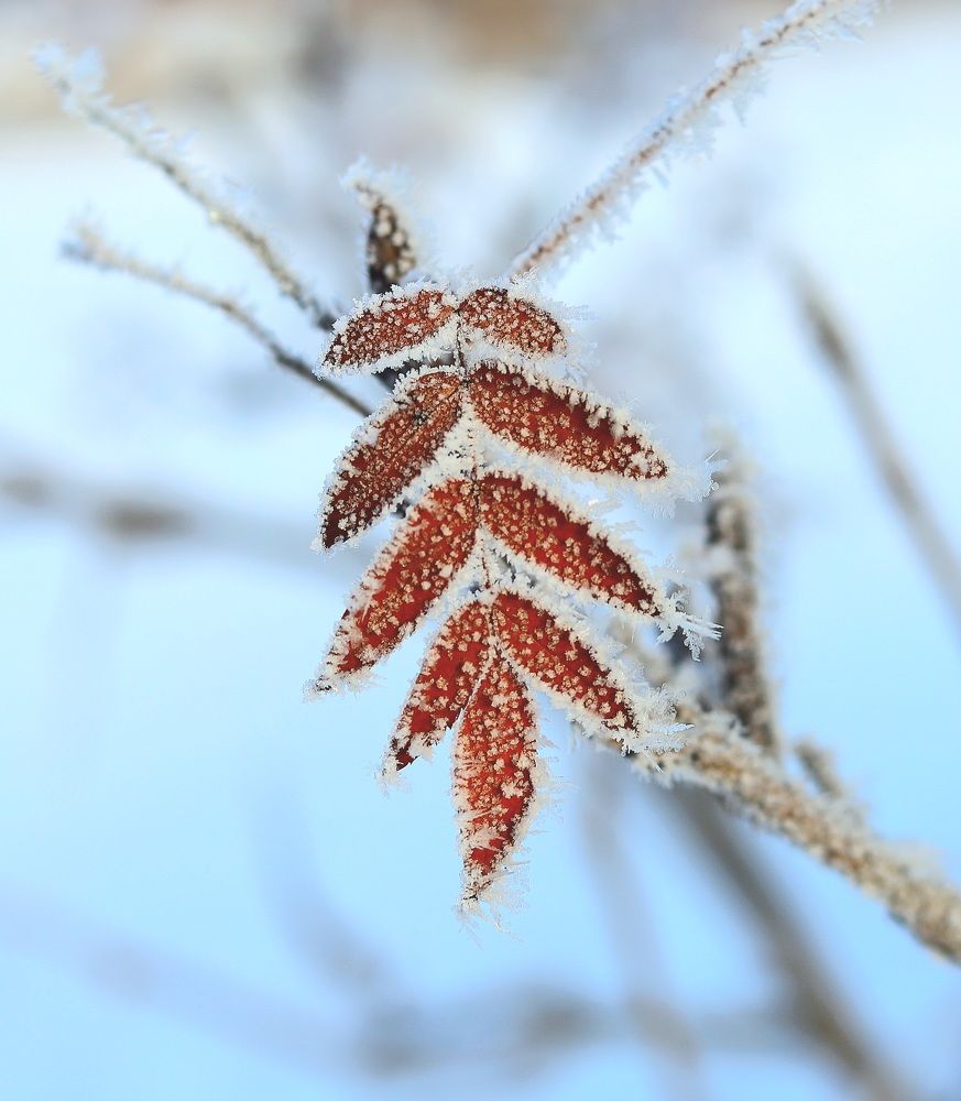 Photograph by Марина Ноговицына