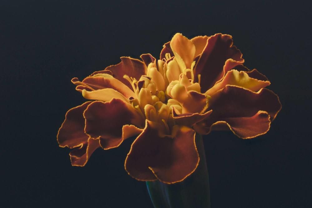 Photograph by jose david sacasas