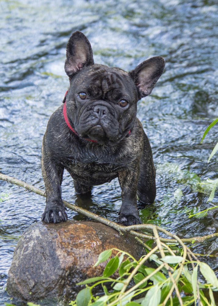 Photograph by Анна Васильева