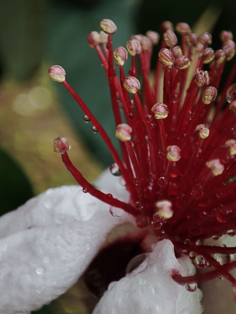 Photograph by Ольга Сучкова