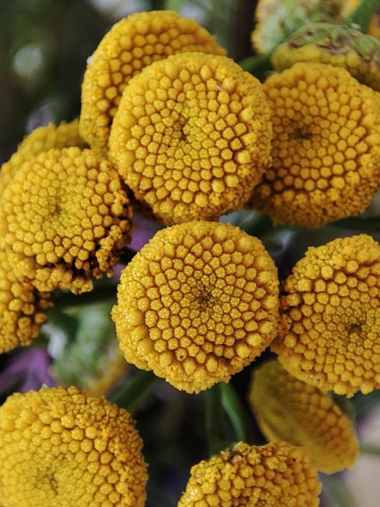 Photograph by Ольга Сучкова