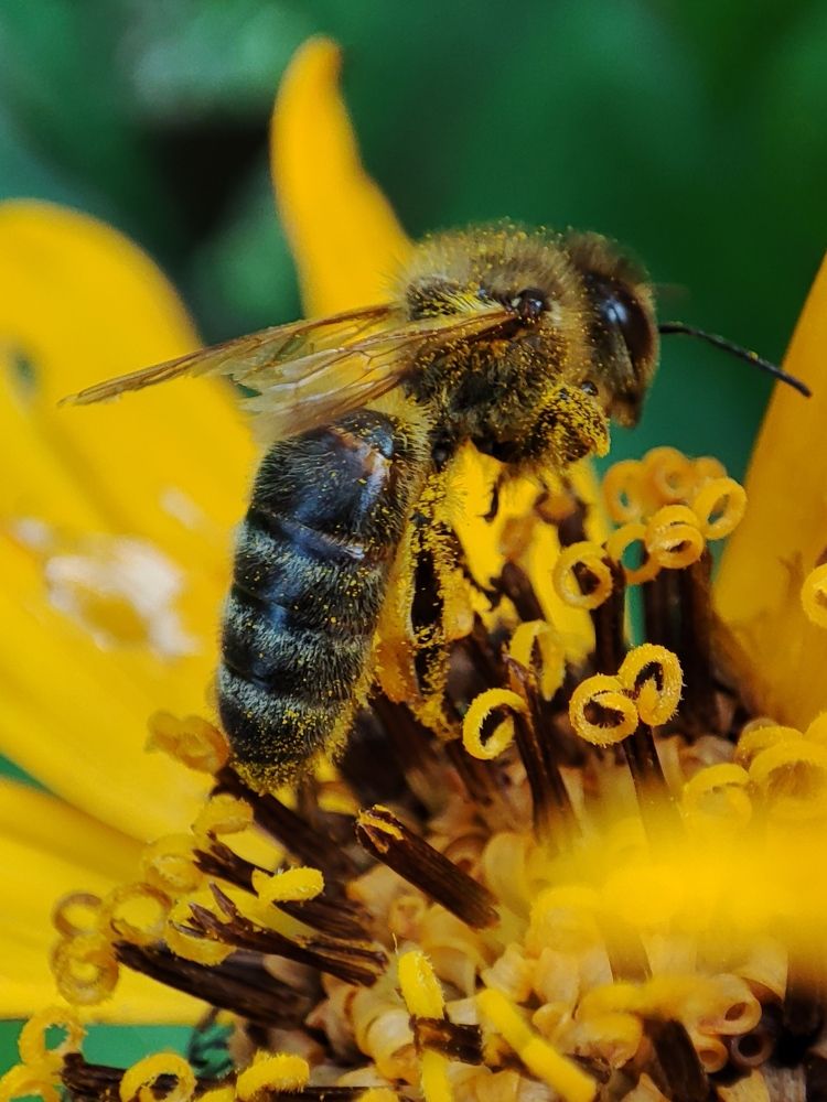 Photograph by Ольга Сучкова