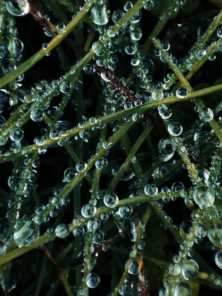 Photograph by Ольга Сучкова