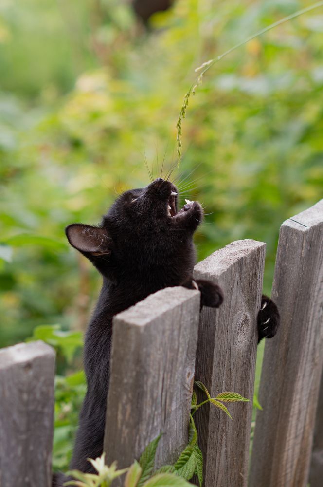 Photograph by Светлана Нестерова