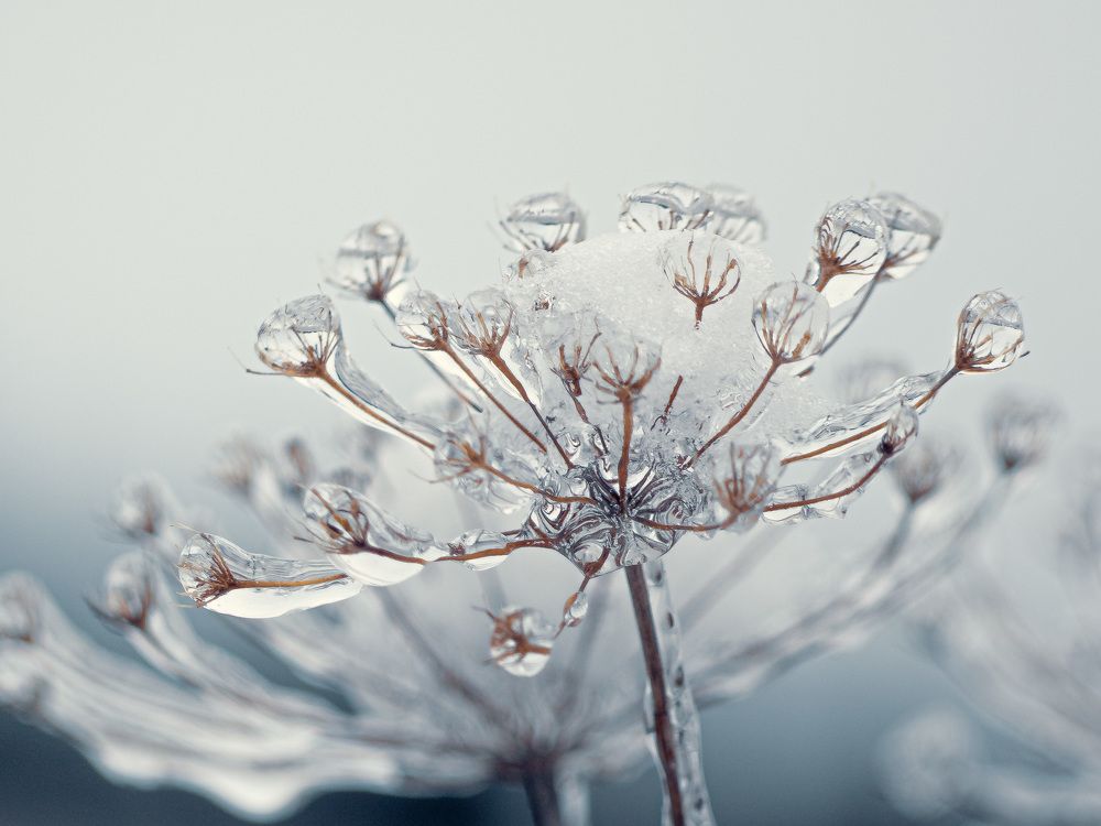 Photograph by Сергей Забиякин