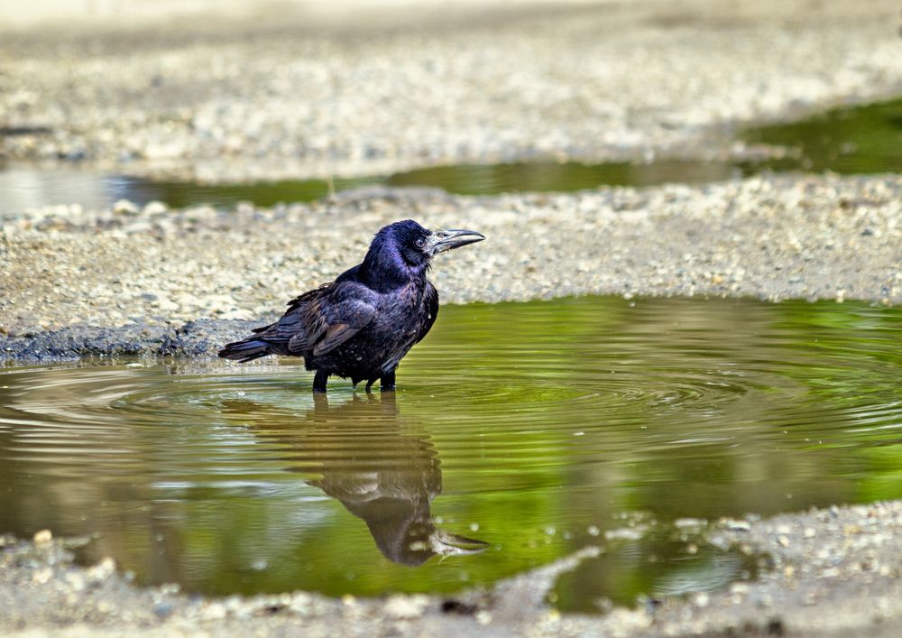 Photograph by Владимир Кваша