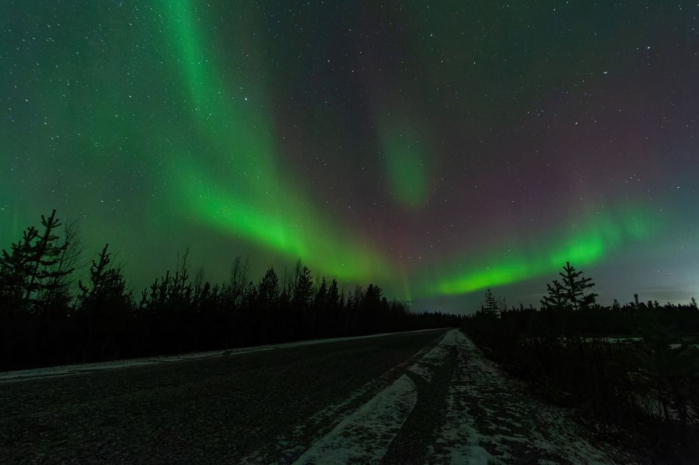 Photograph by Алексей Чеботарев