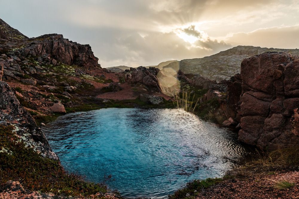 Photograph by Алексей Чеботарев