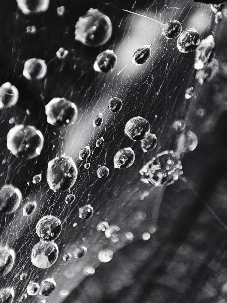 Photograph by Ольга Сучкова