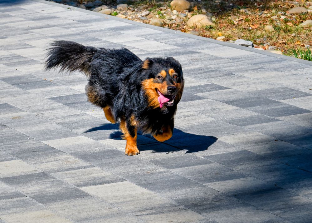 Photograph by Владимир Кваша