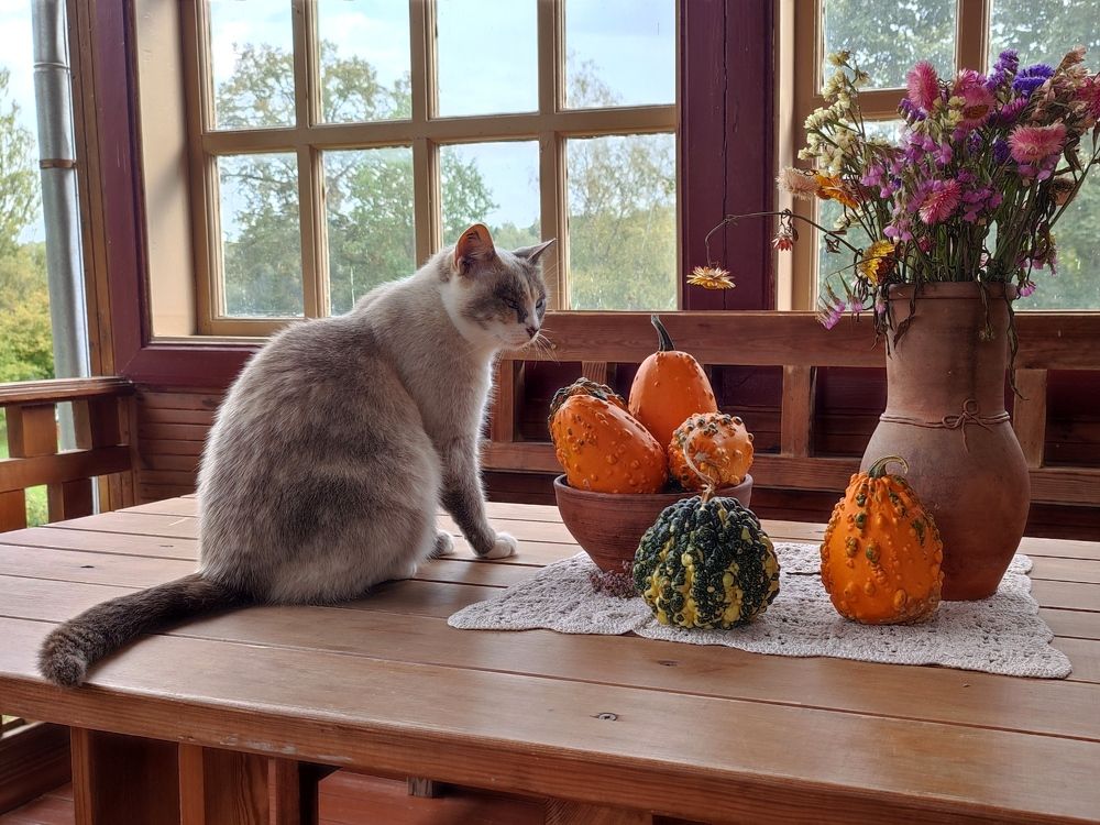 Photograph by Ольга Сучкова