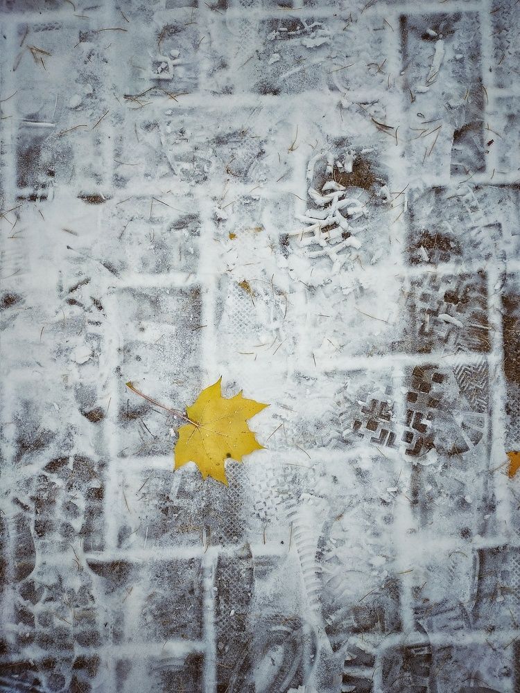 Photograph by Ольга Мартьянова