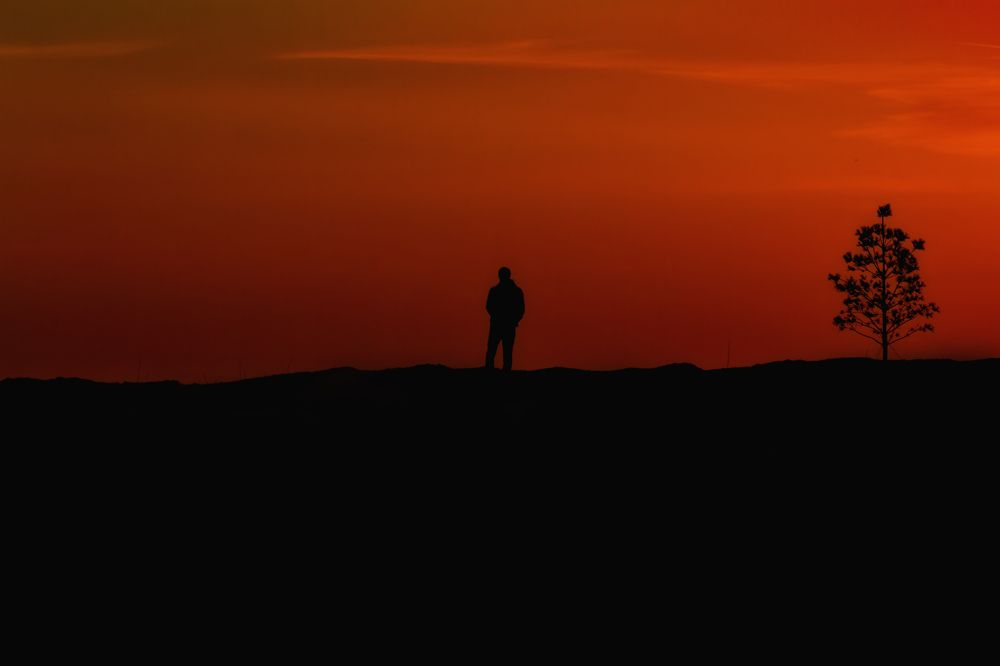 Photograph by Юлия Зубкова