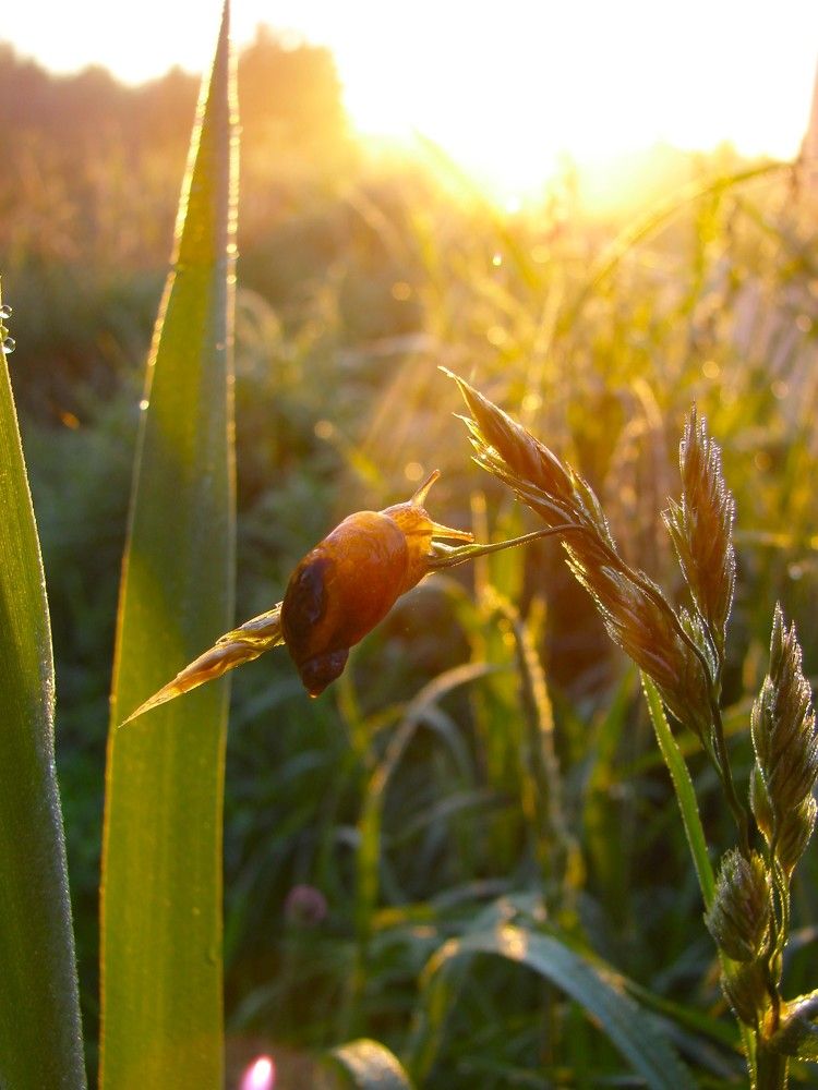 Photograph by Maria Zagagul