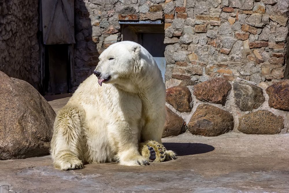 Photograph by Клясюк Галина