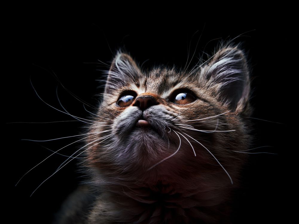 Photograph by Evgeniy Savikov