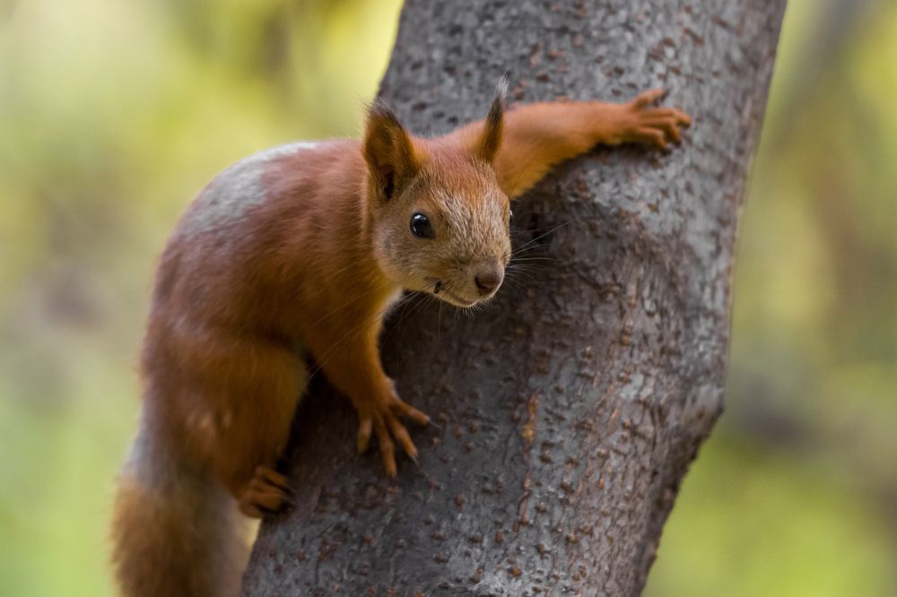 Photograph by Николай Головко