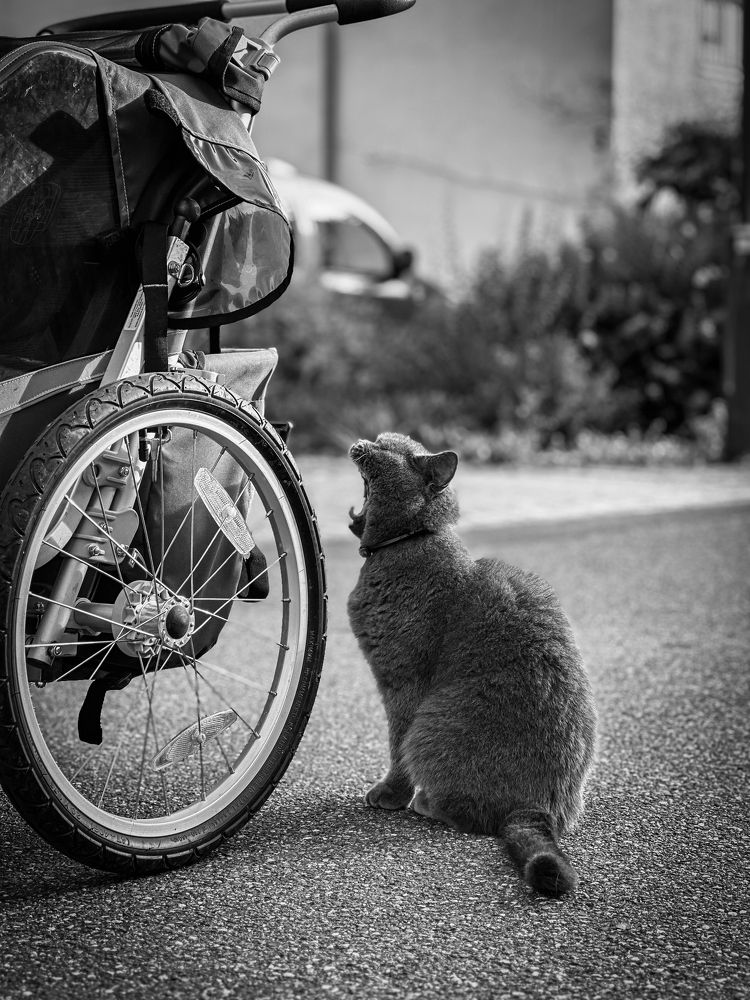 Photograph by daria eipert