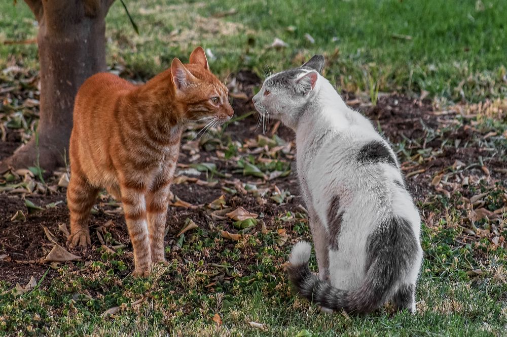 Photograph by Андрей К. Белов