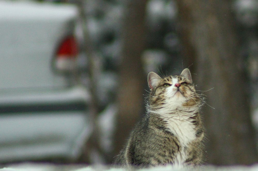 Photograph by Наталья