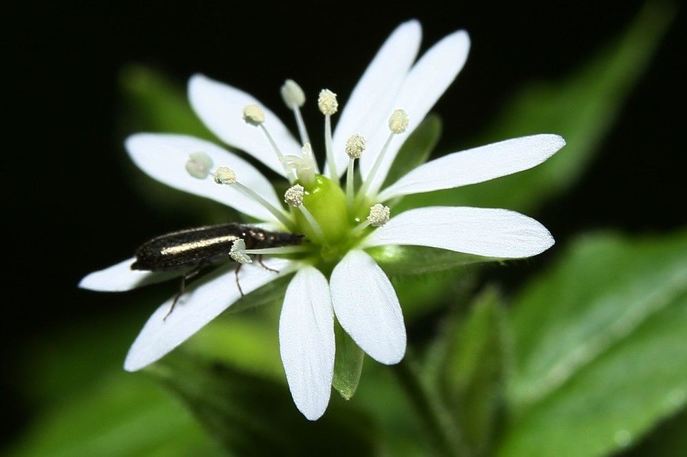 Фотография автора Геннадий Титов