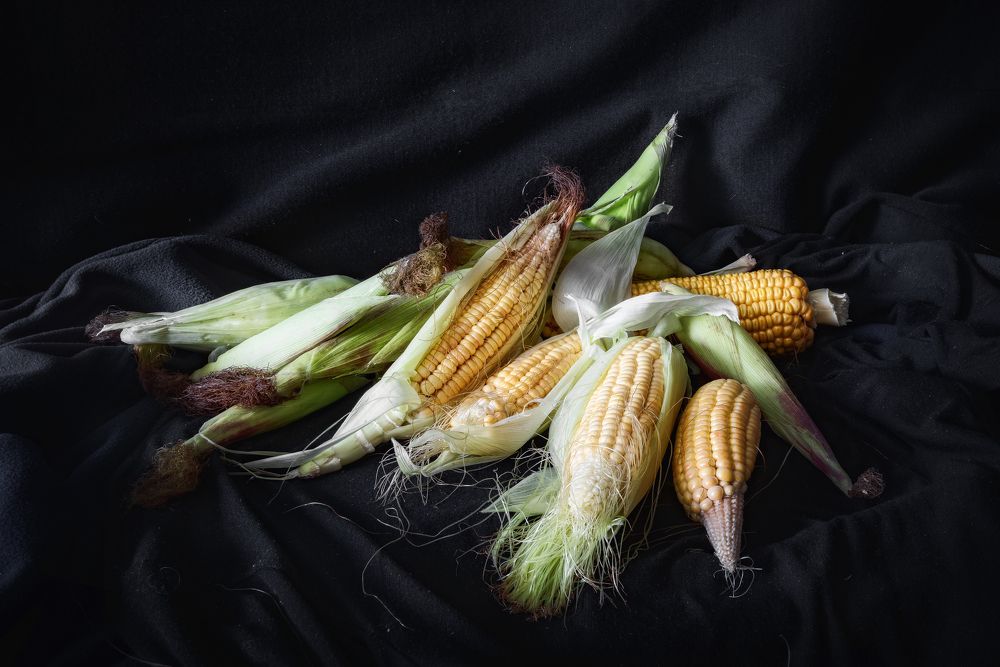 Photograph by Соколова Елена