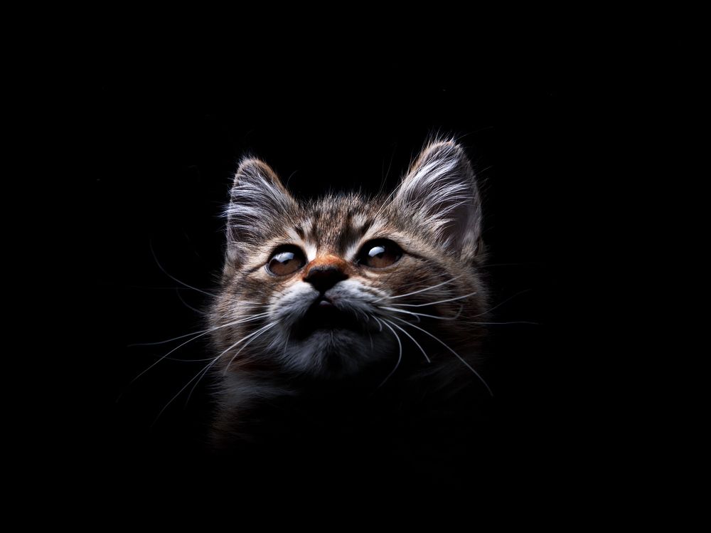 Photograph by Evgeniy Savikov