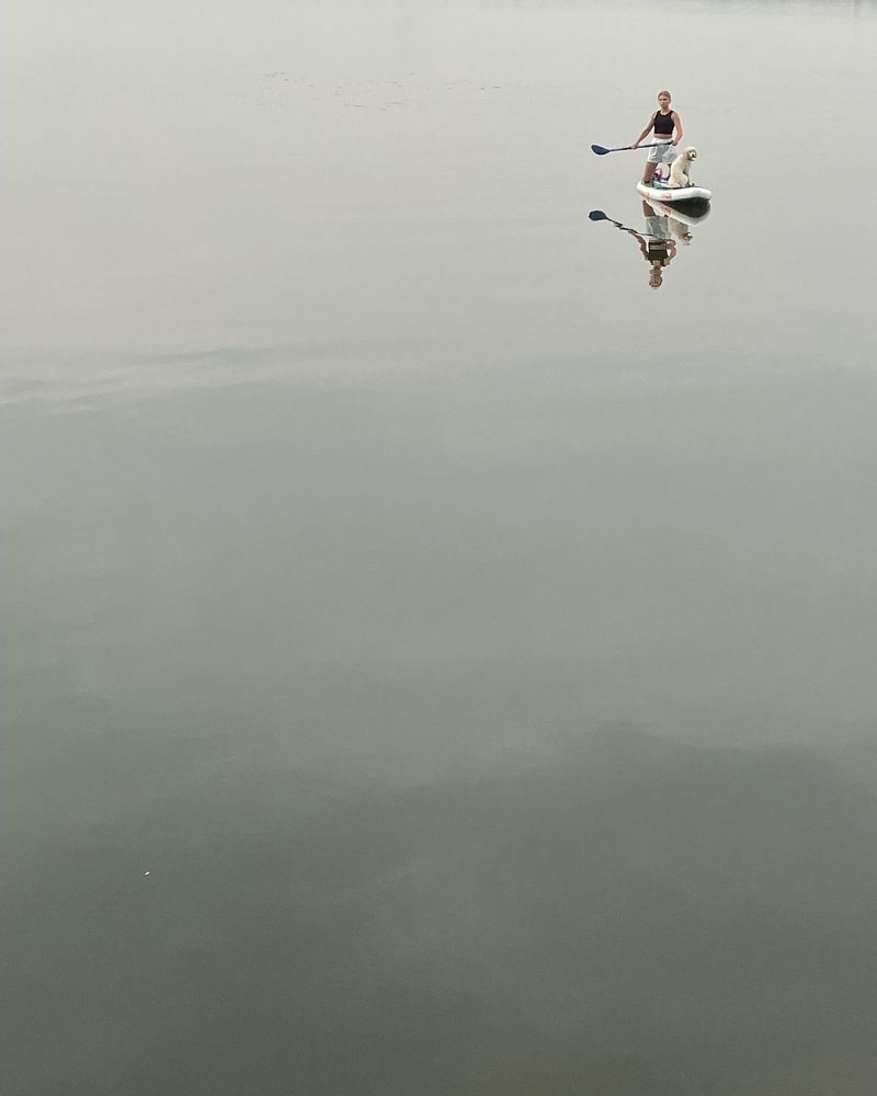 Photograph by Евгения Пржевальская