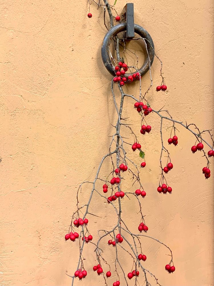 Photograph by Титаренко Людмила