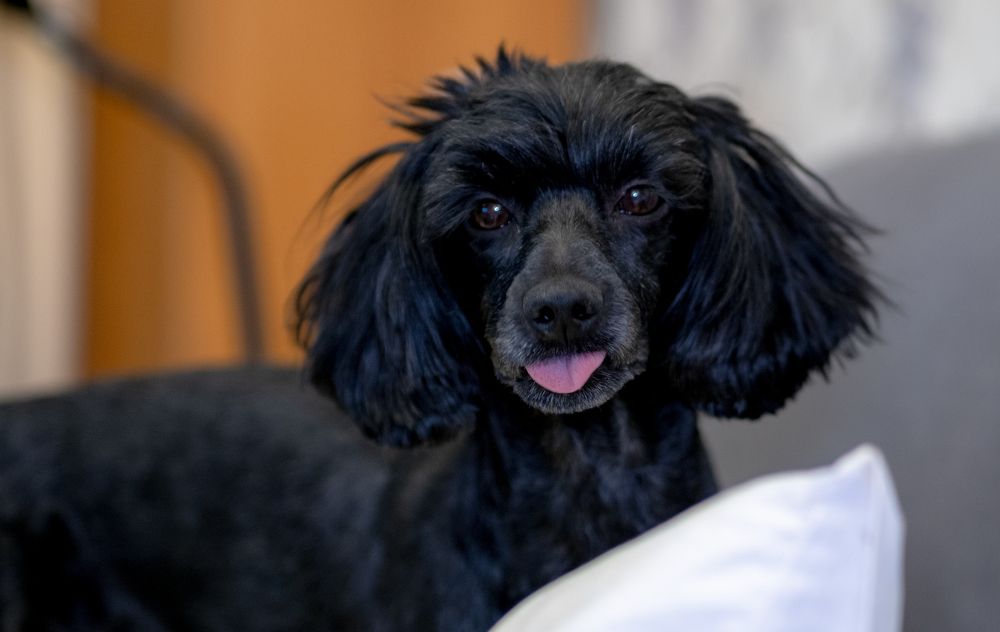 Photograph by Алексей Миронов