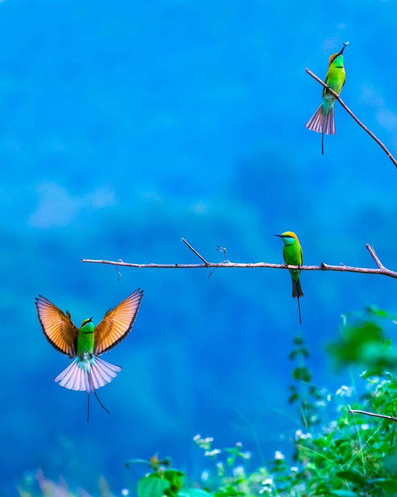 Photograph by Herald Jaison