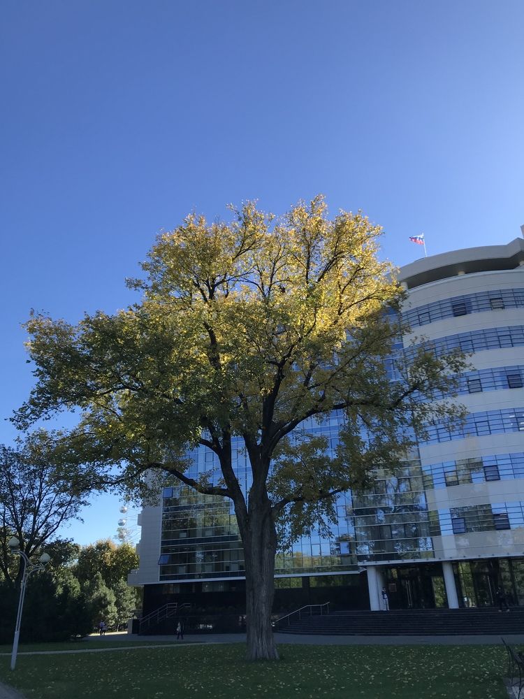 Photograph by Ирина Глухова