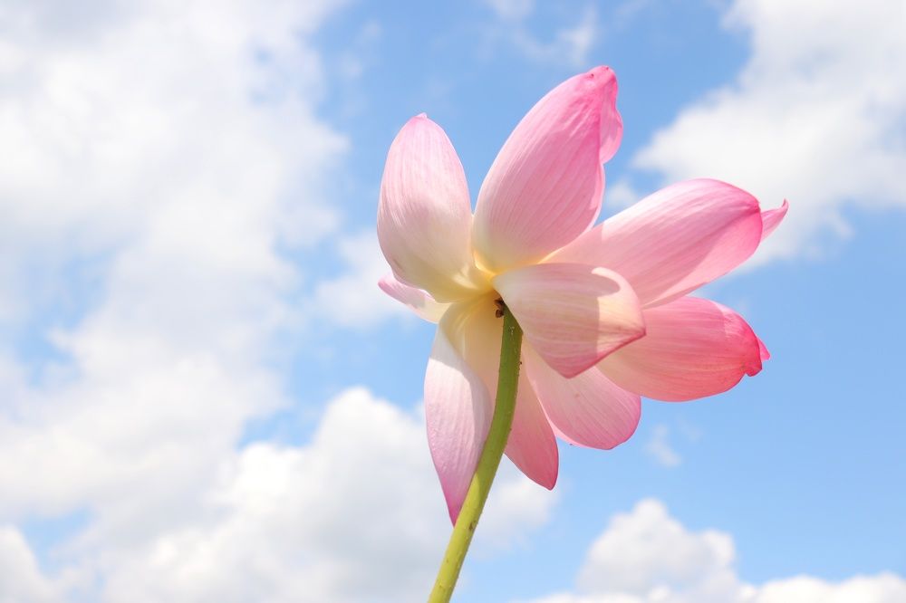 Photograph by Елена Демина