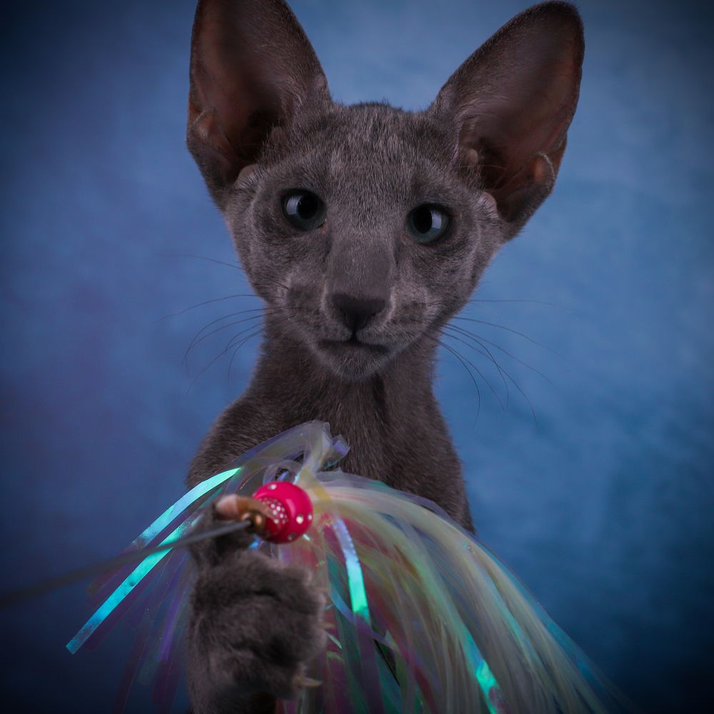 Photograph by Альвина Кузнецова