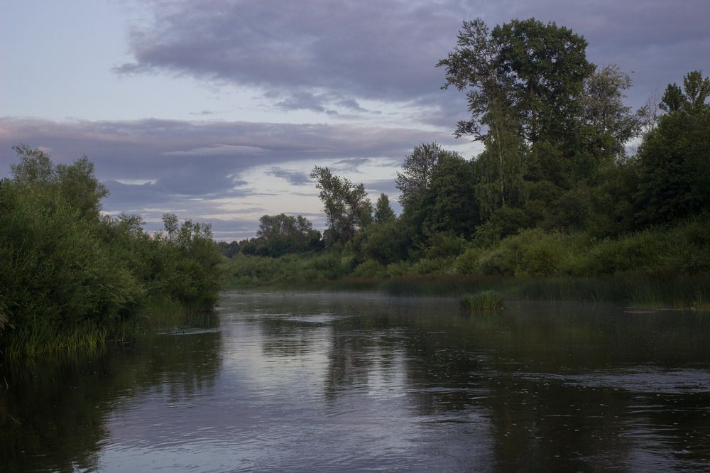 Фотография автора Светлана Терехова