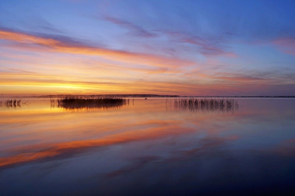 Photograph by Мишустина Татьяна