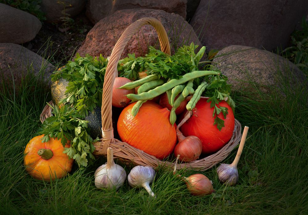 Photograph by Inna Ivanova