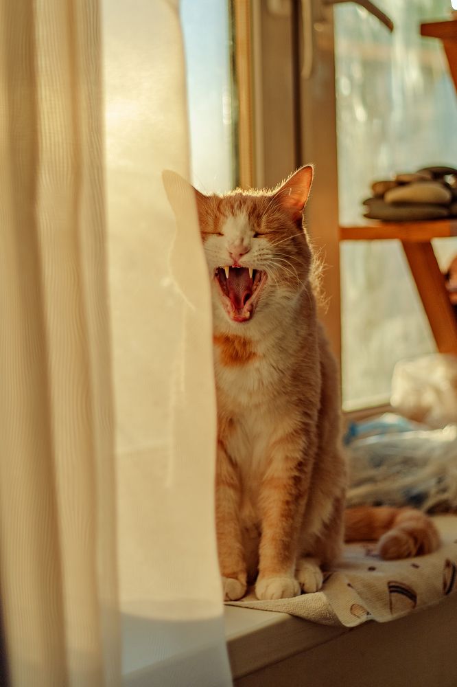 Photograph by Ксения Григорьева