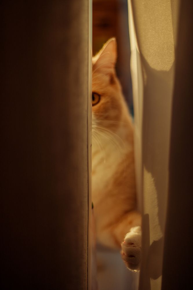 Photograph by Ксения Григорьева