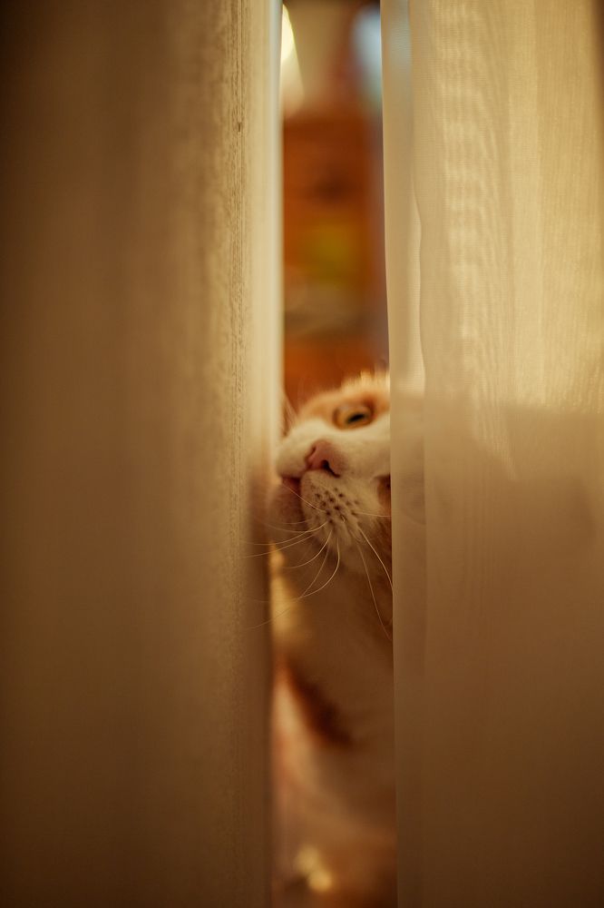 Photograph by Ксения Григорьева