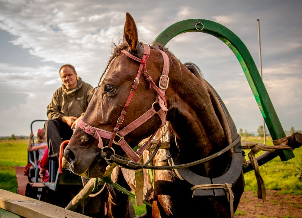 Photograph by Оксана Полевая