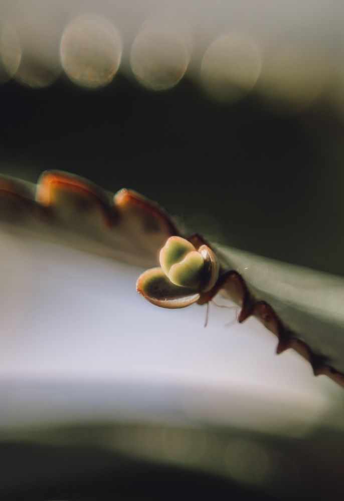 Photograph by Ригина Айдель