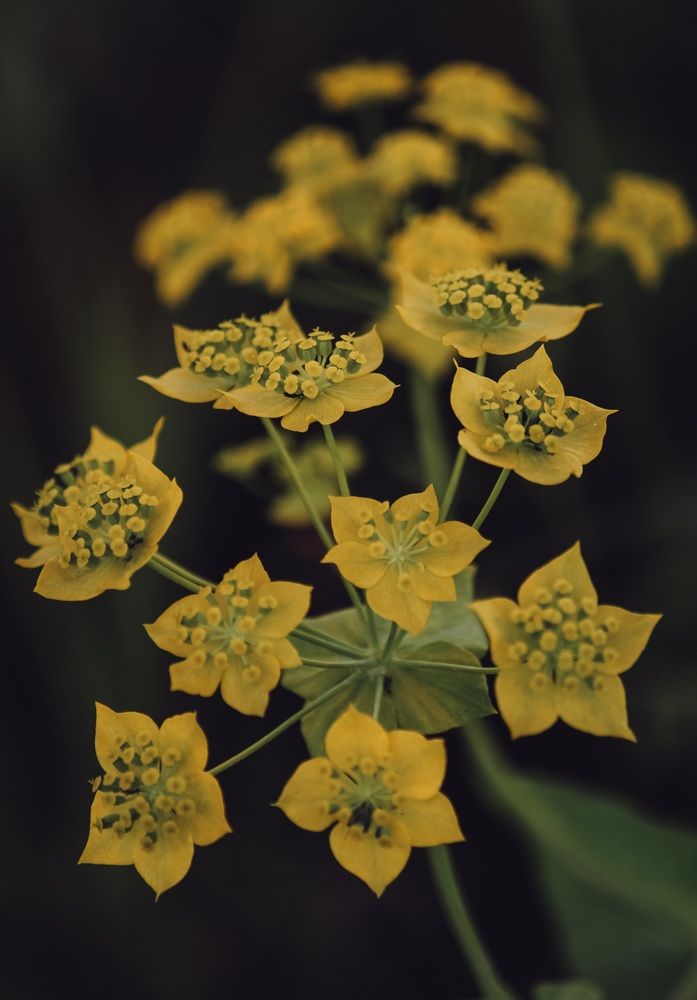 Photograph by Ригина Айдель