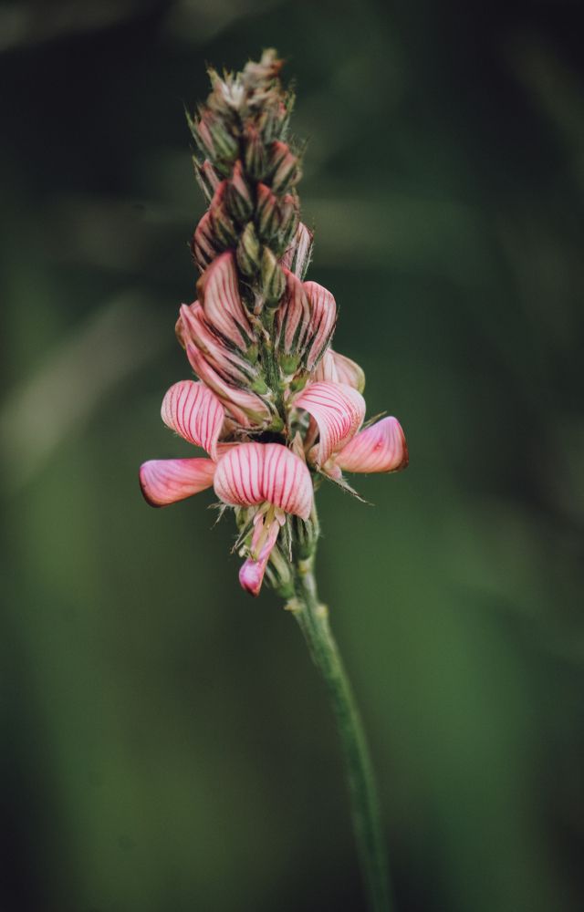 Photograph by Ригина Айдель