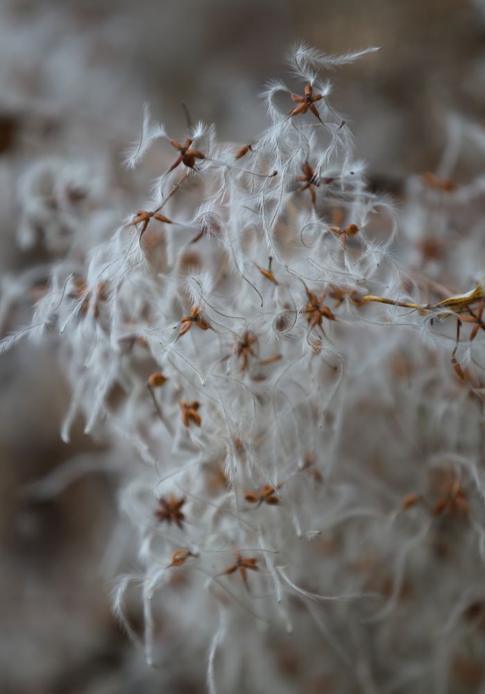 Photograph by Унку Юрий